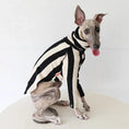Cargar la imagen en la vista de la galería, Whippet & Greyhound striped shirt by SOCKPET; black and beige dog costume.
