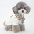 Load image into Gallery viewer, Dog clothes summer thin section small dog in white polo shirt with checkered collar on a cute dog.