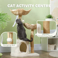 Bild in Galerie-Betrachter laden, PawHut Woven Nest Cat Tree activity graphic with a cat on the condo roof and close-ups of a hanging ball and rope-wrapped post.
