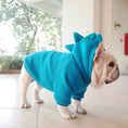 Carica l'immagine nel visualizzatore della galleria, Pet Zen blue fleece hoodie for dogs with dragon-crest hood