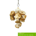 Bild in Galerie-Betrachter laden, Parrot Natural Grass Ball Chewing Toy Reduces Stress And Boredom by Sell My Stuff
