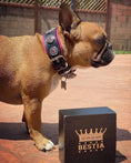 Load image into Gallery viewer, Bestia Dog Gear Bijou Leather Dog Collar Black and Pink Handcrafted with Soft Cushion for Small to Medium Breeds by Bestia Dog Gear