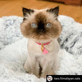 Load image into Gallery viewer, Mr. Peanut's OrthoPlush pet bed in snowflake white two-tone; fluffy pillow bed with a blue-eyed Himalayan cat.
