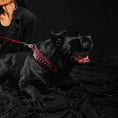 Load image into Gallery viewer, The "Balteus" red collar - Pet Collars & Harnesses from Bestia Dog Gear