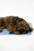 Load image into Gallery viewer, Cool Pet Pad - from The Green Pet Shop