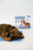 Load image into Gallery viewer, Cool Pet Pad - from The Green Pet Shop