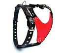 Load image into Gallery viewer, The "Steel" harness - Pet Collars & Harnesses from Bestia Dog Gear