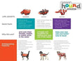 Load image into Gallery viewer, Fun Fish Dog Life Jacket by Outward Hound; bright orange dog life vest for pets (GreaterGood brand)
