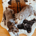 Load image into Gallery viewer, Paw.com PupRug Animal Print Memory Foam Dog Bed, brown faux cowhide; two dogs on it