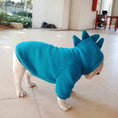 Carica l'immagine nel visualizzatore della galleria, Pet Apparel Fleece Solid Color Hoodie for dogs, teal fleece, snug fit.