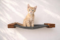Bild in Galerie-Betrachter laden, Hanging cat bed hammock with gray fabric and wooden end blocks