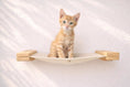 Bild in Galerie-Betrachter laden, Hanging Cat Bed Hammock beige fabric with wood mounts by Catastrophic Creations cat perch.