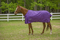 Bild in Galerie-Betrachter laden, TuffRider 1600 D Super Comfy Standard Neck Blanket - from JPC Equestrian