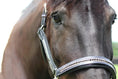 Load image into Gallery viewer, Henri de Rivel Padded Jewel Halter - from JPC Equestrian