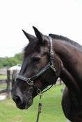 Load image into Gallery viewer, Henri de Rivel Padded Jewel Halter - from JPC Equestrian