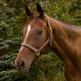 Load image into Gallery viewer, Henri de Rivel Vegan-X Leather Halter - from JPC Equestrian