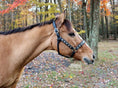 Gallery viewerに画像を読み込む, Henri de Rivel Royal Embroidered Leather Halter - from JPC Equestrian