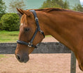 Load image into Gallery viewer, Henri de Rivel Stress Free Halter With Fancy Contrast Stitching - from JPC Equestrian