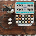 Charger l'image dans la visionneuse de la galerie, Henlay 18-Pack Egg Cartons for Farm Fresh Eggs – Durable & Reusable Egg Carton, 50 Pack