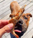 Load image into Gallery viewer, Shrimp by Naked Beasts; orange-shelled shrimp held in hand with a dog on a wooden deck in the background.