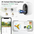 Load image into Gallery viewer, Bird Feeder Camera WiFi Smart AI Motion Detection 1080P 1.5L by Wags & Whiskers Pet Supply
