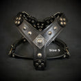 Carica l'immagine nel visualizzatore della galleria, The ''Eros'' harness black Medium Size - Pet Collars & Harnesses from Bestia Dog Gear