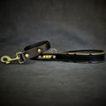 Load image into Gallery viewer, The ''Midas'' Collar Gold - Pet Collars & Harnesses from Bestia Dog Gear