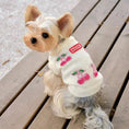 Load image into Gallery viewer, Small dog cherry-print sweater by SOCKPET; white knit with pink cherry prints.