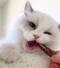 Load image into Gallery viewer, Chicken Necks cat treats; white fluffy kitten chewing a brown chew