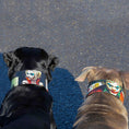 Load image into Gallery viewer, The Harley Limited Collar - Pet Collars & Harnesses from Bestia Dog Gear