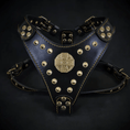 Load image into Gallery viewer, The ''Maximus'' harness Black & Gold Small to Medium Size - Pet Collars & Harnesses from Bestia Dog Gear