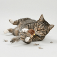 Bild in Galerie-Betrachter laden, Flapping Bird Interactive Cat Toy With Realistic Wing Motion And Chirping Sounds For Indoor Play Engagement by Midfox