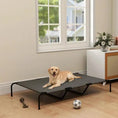Bild in Galerie-Betrachter laden, Dog cot cooling pet bed with gray fabric surface and black metal frame; a dog lying on it indoors.