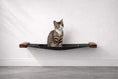 Bild in Galerie-Betrachter laden, Hanging cat hammock bed with wooden end supports, black fabric, cat seated.