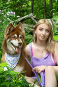 Bild in Galerie-Betrachter laden, Lavender Blooms Dog Bandana - from Aria the Fox