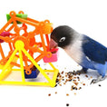 Bild in Galerie-Betrachter laden, FeatherFun Colorful Windmill Parrot Foraging Toy by For Animals, With Love