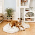 Load image into Gallery viewer, PupRug by Paw.com® Faux Fur Orthopedic Dog Bed - Curve White with Brown Accents