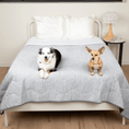 Cargar la imagen en la vista de la galería, PupChill™ cooling waterproof blanket Arctic Grey on bed with two dogs