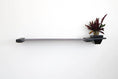 Load image into Gallery viewer, Cat Hammock Wall with Planter by Catastrophic Creations, gray metal wall perch with black planter.