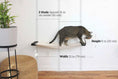 Charger l'image dans la visionneuse de la galerie, Cat Hammock feeder by Catastrophic Creations; wall-mounted, raised cat platform with attached bowl.