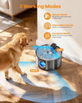 Load image into Gallery viewer, The Oasis 3.4-Gallon Wireless Pet Fountain by Wags & Whiskers, gray stainless body with blue LED for cats & dogs