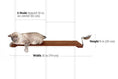 Bild in Galerie-Betrachter laden, Wall Mounted Cat Feeding Shelf with a wooden platform and metal bowl; cat lounging on it.