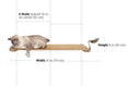 Bild in Galerie-Betrachter laden, Wall Mounted Cat Feeding Shelf with natural wood plank and metal bowl; cat resting on shelf.