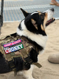 Bild in Galerie-Betrachter laden, Extra Chonky Morale Patch 4.5x1.5 Inch Embroidered Hook Backing Vest by kiloninerpets