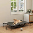 Bild in Galerie-Betrachter laden, Dog cot cooling bed by Pear Daisy, elevated black frame with gray fabric; dog lounging on it.