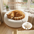 Gallery viewerに画像を読み込む, 40-inch solid wood cat tree with space capsule perch, white plush cushion, and sisal posts