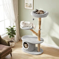 Carica l'immagine nel visualizzatore della galleria, 41-Inch cat tower with real wood branches and gray rope platforms; two cats on levels