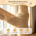 Carica l'immagine nel visualizzatore della galleria, DirectDeals 41-Inch Cat Tree with natural pear wood branches and rope-wrapped scratching posts