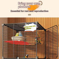 Carica l'immagine nel visualizzatore della galleria, Large rolling bird cage with perches, bowls and removable tray; black metal on wheels with two birds inside.