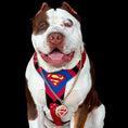 Bild in Galerie-Betrachter laden, Superdog Harness - Harnesses from Bestia Dog Gear